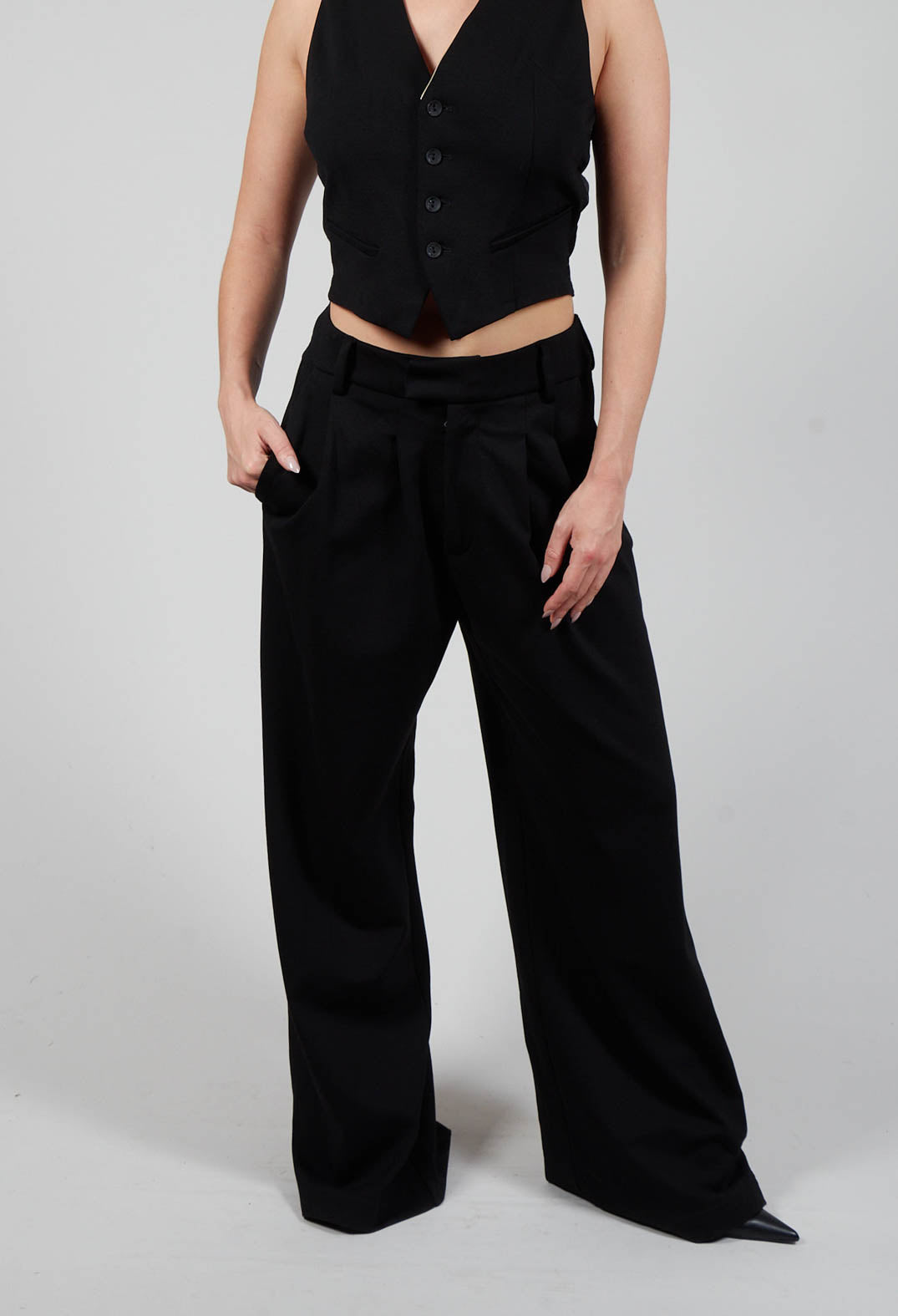 Wide Leg Pleated Trousers in Black