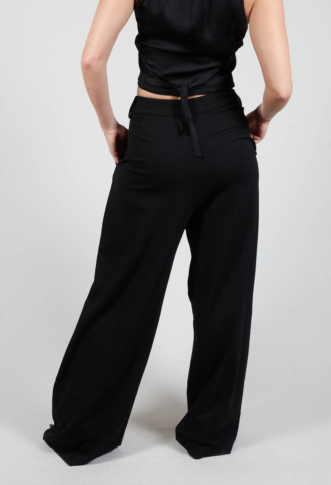 Wide Leg Pleated Trousers in Black