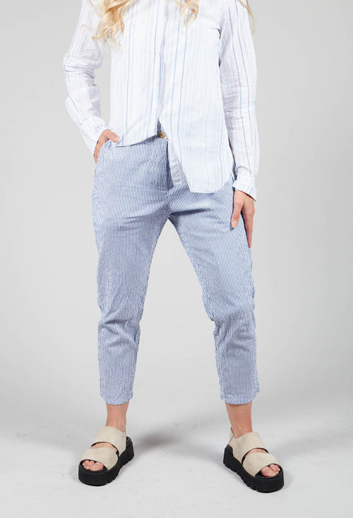 Poly Trousers in Blue Stripes