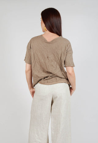 Short Sleeved Jumper in Taupe