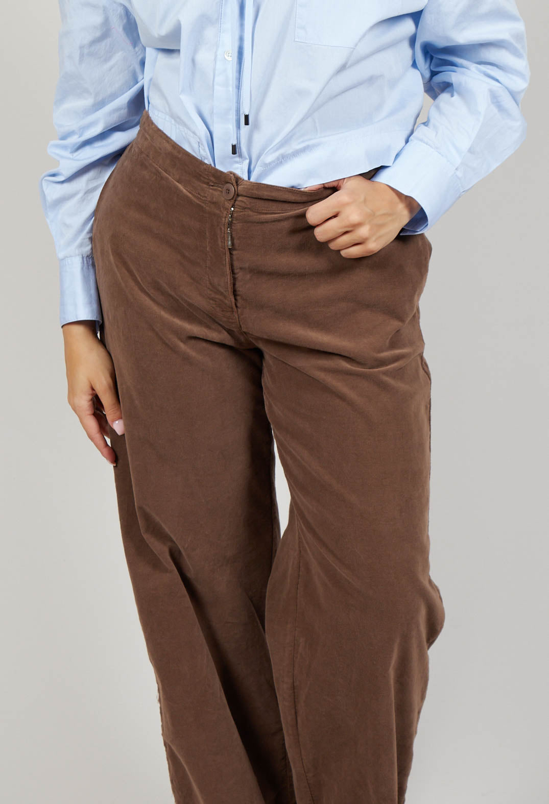 Dider Trousers in Taupe