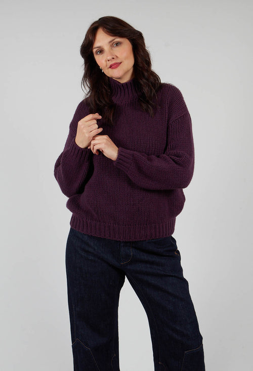 High Neck Jumper in Aubergine