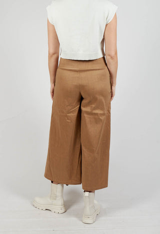 Vanessa Trousers in Beige