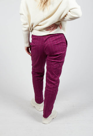 Pietra Trousers in Mulberry Stripe