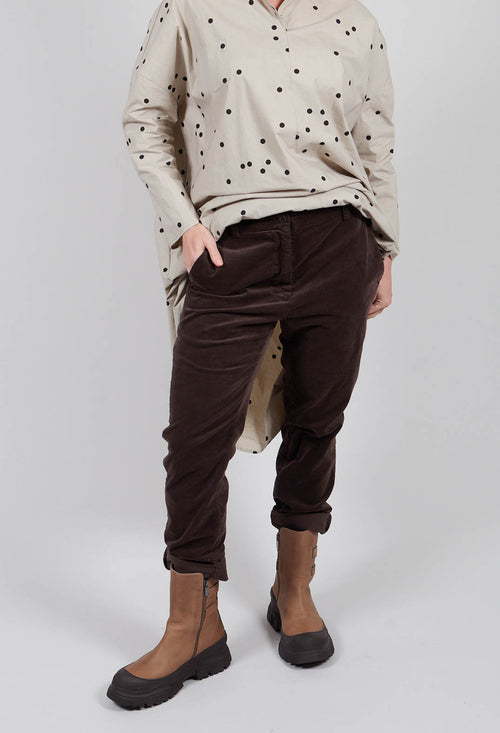 Prospera Trousers in Brown