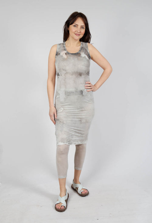 Sheer Print Dress in Moon Pigment