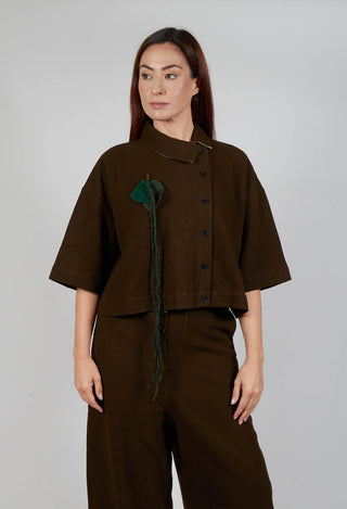 Asymmetric Point Collar Shirt in Brown