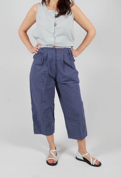 Botvi Trousers in Blue