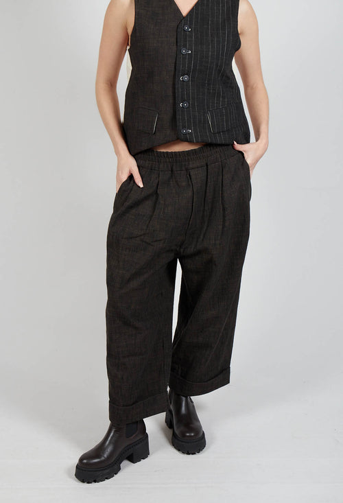 Bragoni Natte-CW Trousers in Coffee