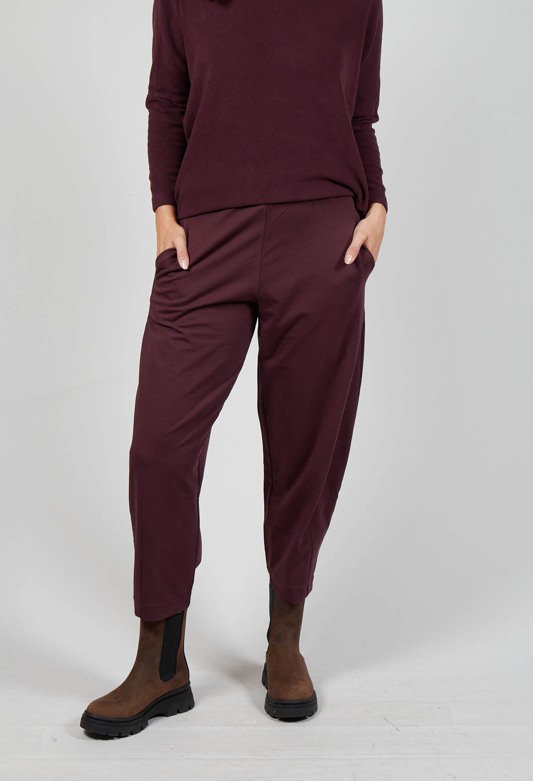 Cervo F Trousers in Uva