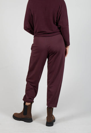 Cervo F Trousers in Uva