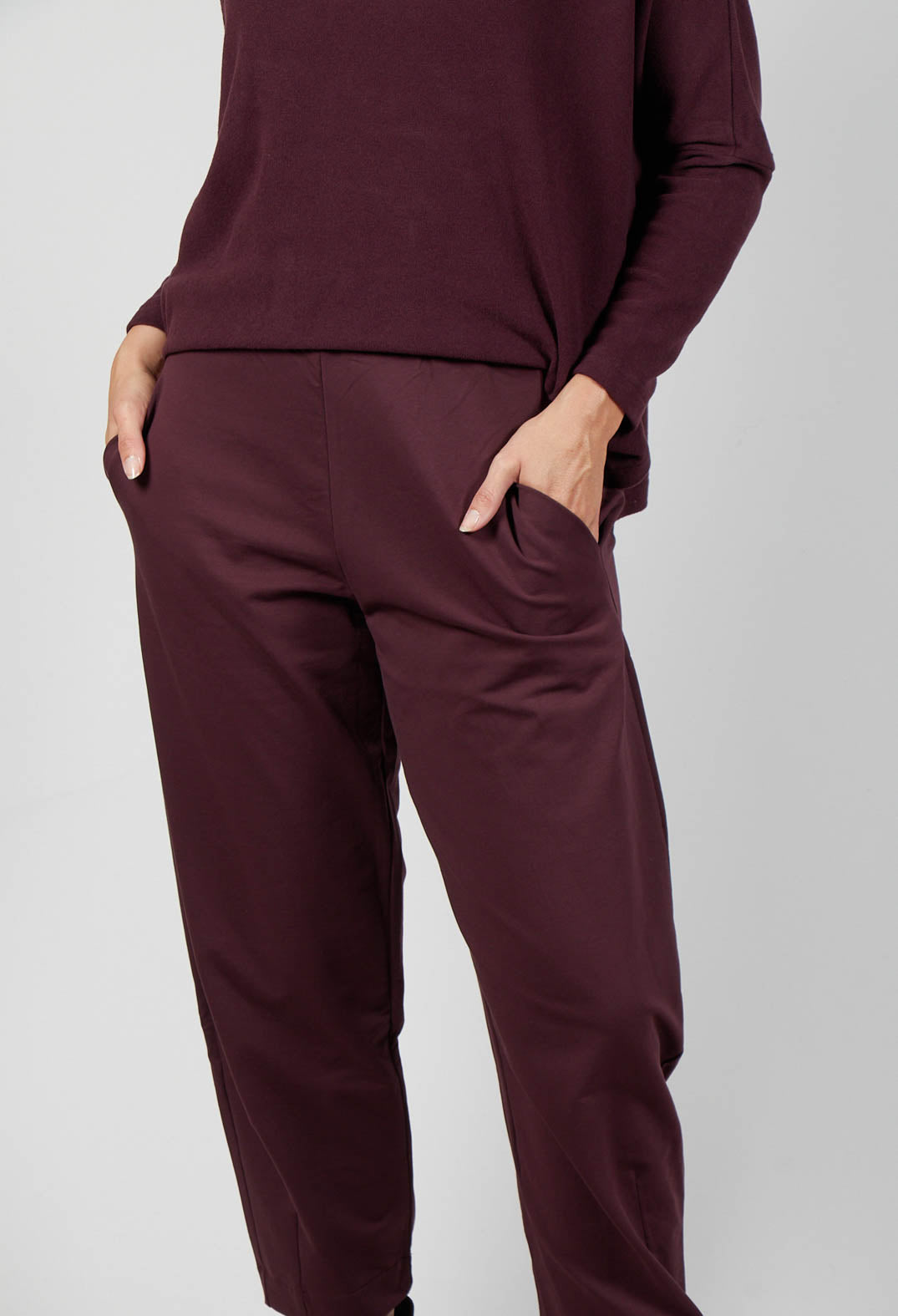 Cervo F Trousers in Uva