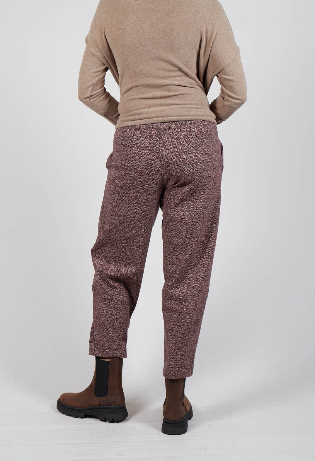 Cervo J Trousers in Uva