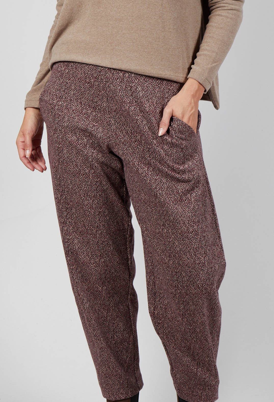 Cervo J Trousers in Uva