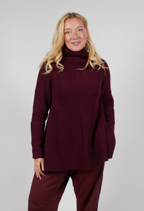 Chunky Roll Neck Jumper in Merlot