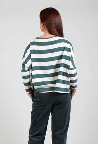 Contrast Stripe Jumper in Riga Agave