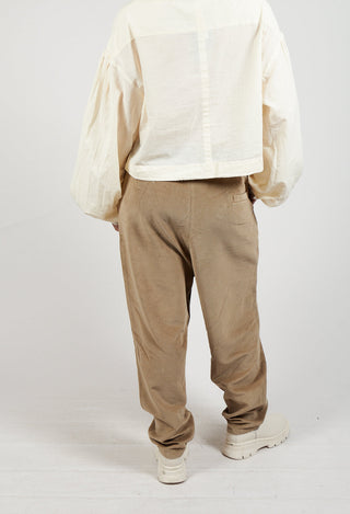 Cord Trousers in Brown