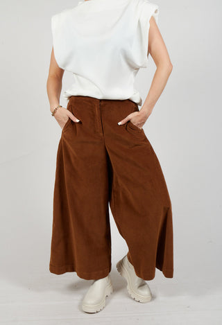 Cotton Trousers in Brown