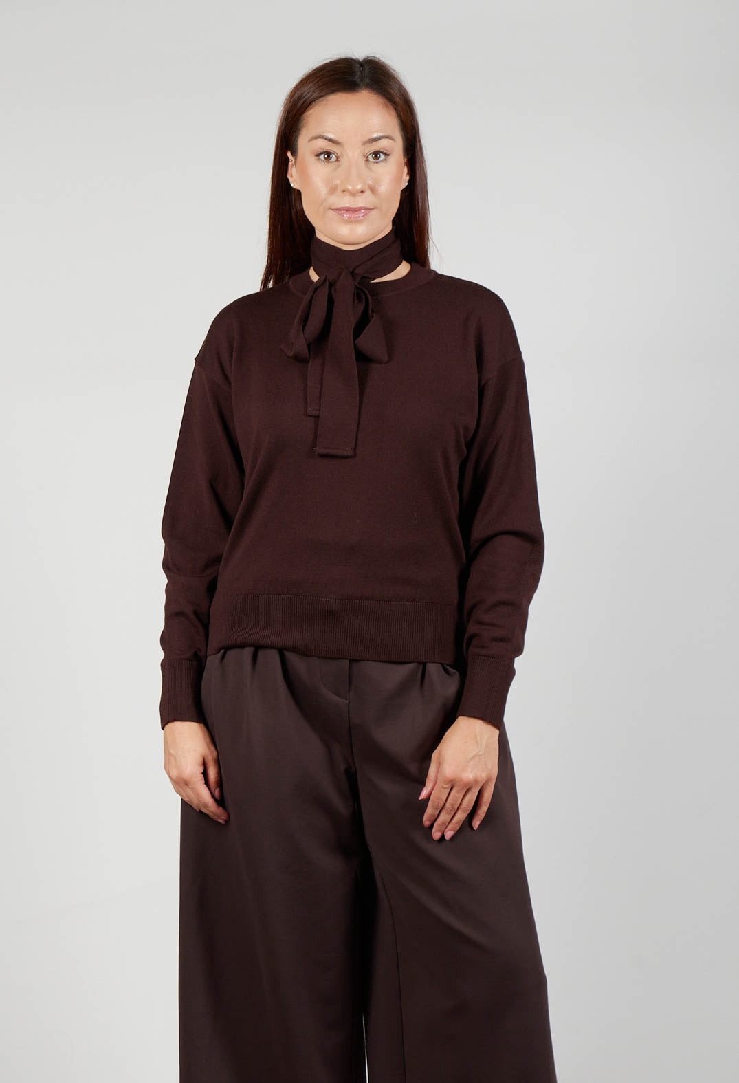 Crew Neck Jumper with Tie Neck in Java