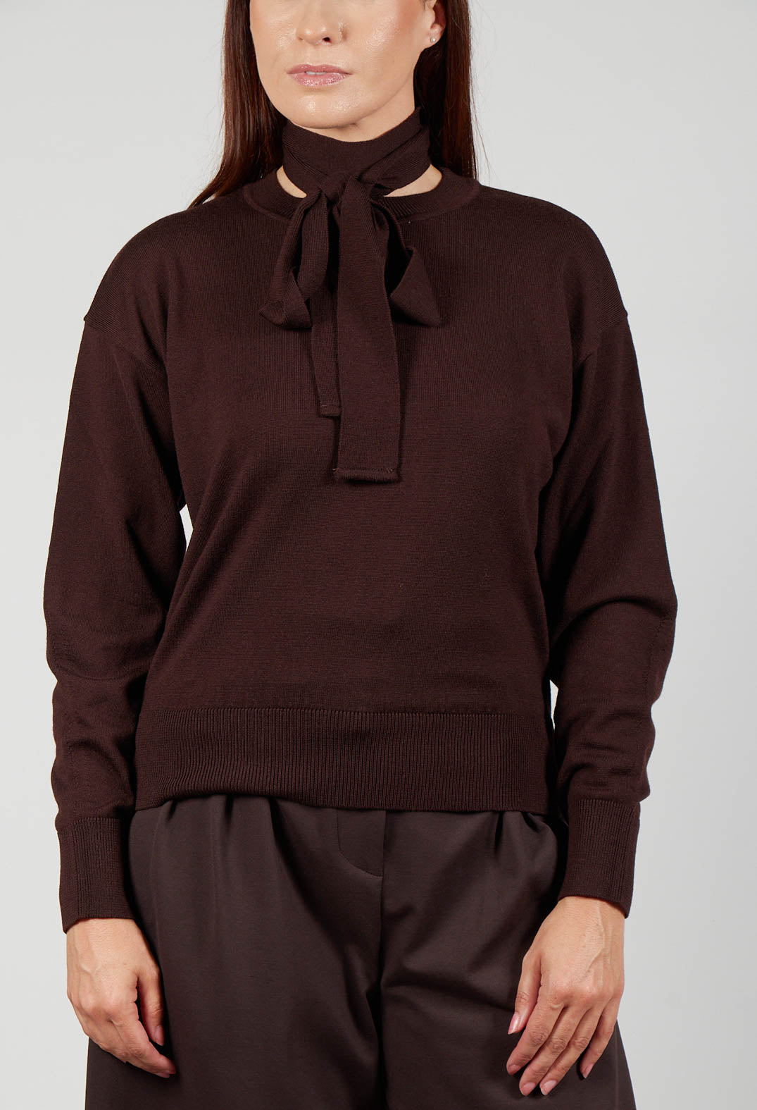 Crew Neck Jumper with Tie Neck in Java