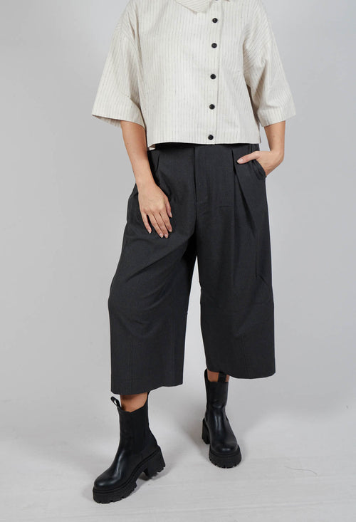 Cropped Pleated Trousers in Charcoal