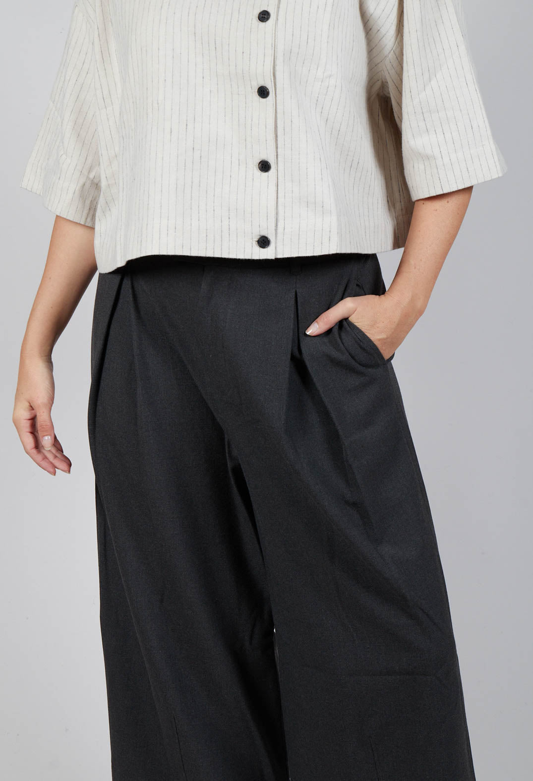 Cropped Pleated Trousers in Charcoal