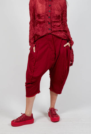 Cropped Trousers in Sunset Cardinal