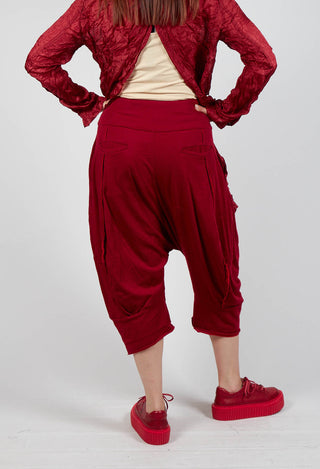 Cropped Trousers in Sunset Cardinal