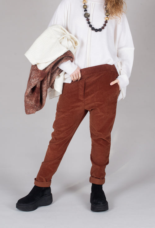 Velvet Slim Trousers in Rust