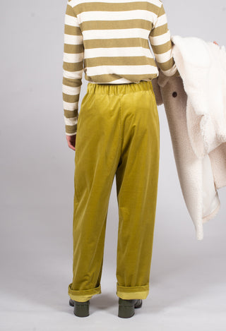 Straight Leg Ribbed Trouser in Cedro