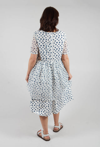 Dinti Dress in Dot Cotton