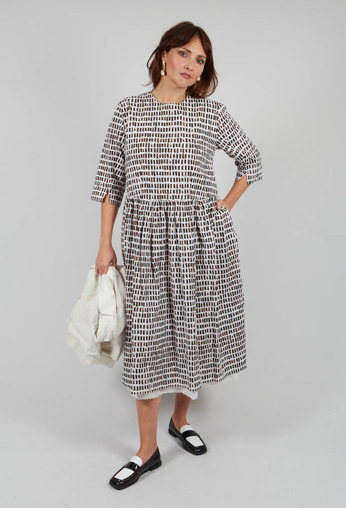 Dominga Print Dress in Brown Sticks