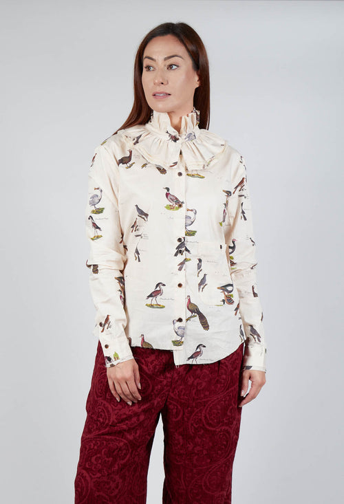 Frill Neck Shirt in Bird