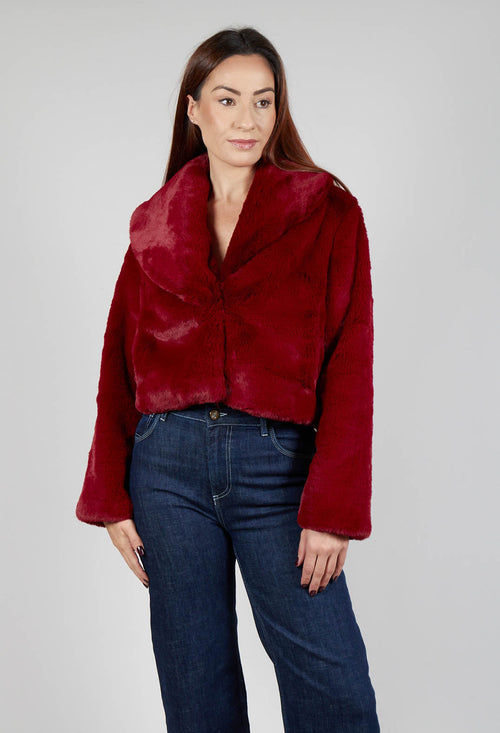 Lambada Jacket in Bordeaux