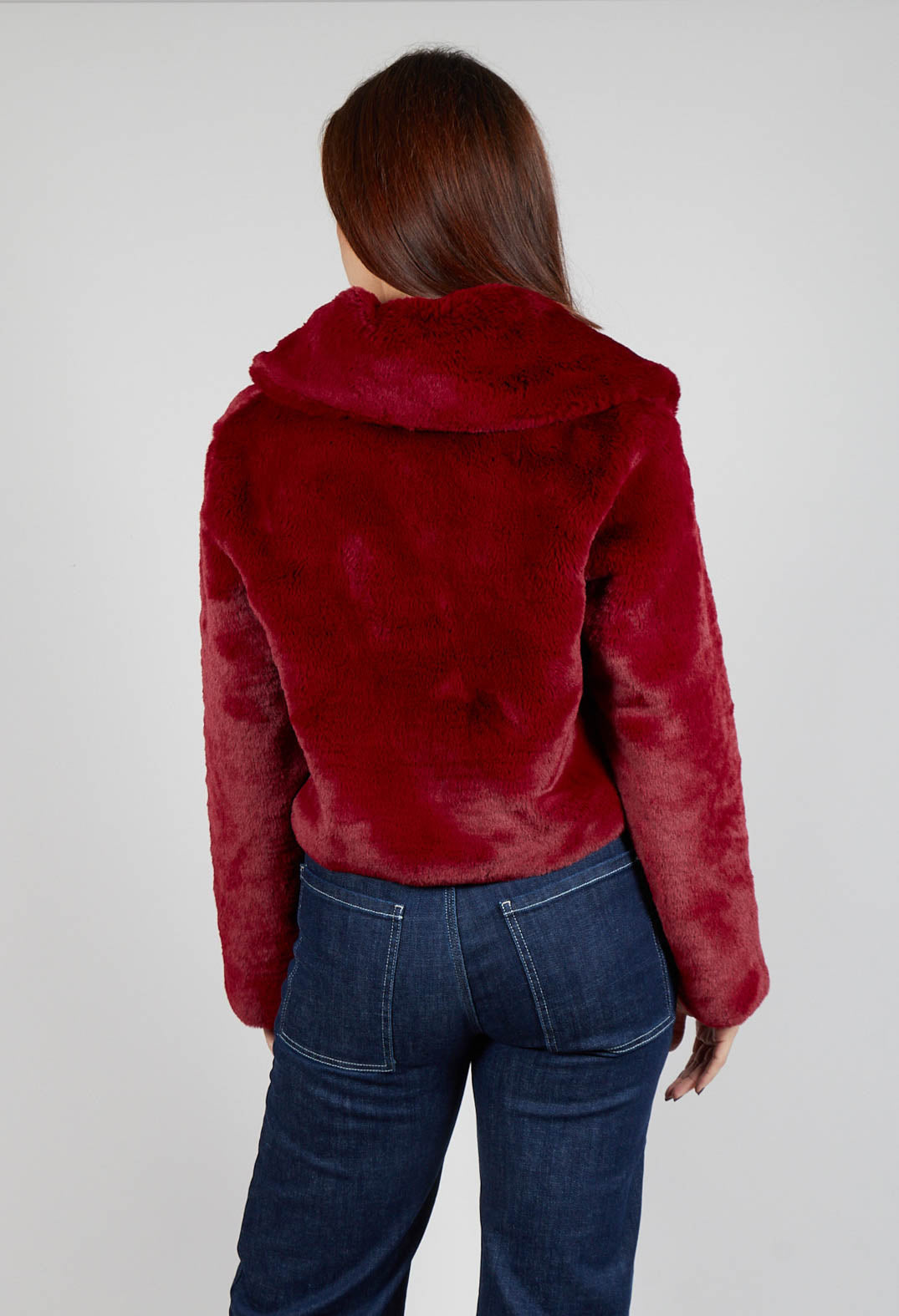 Lambada Jacket in Bordeaux