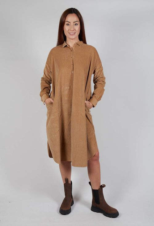 Long Shirt Dress V in Sugar