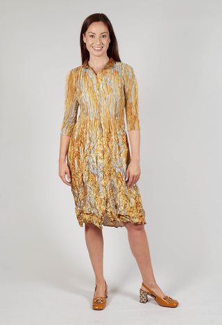 Nehry Metallic Dress in Golden Feather