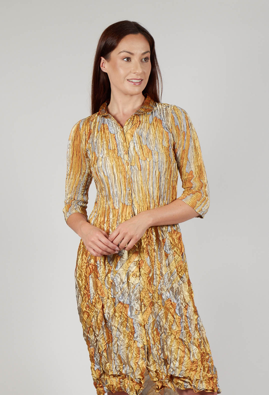 Nehry Metallic Dress in Golden Feather