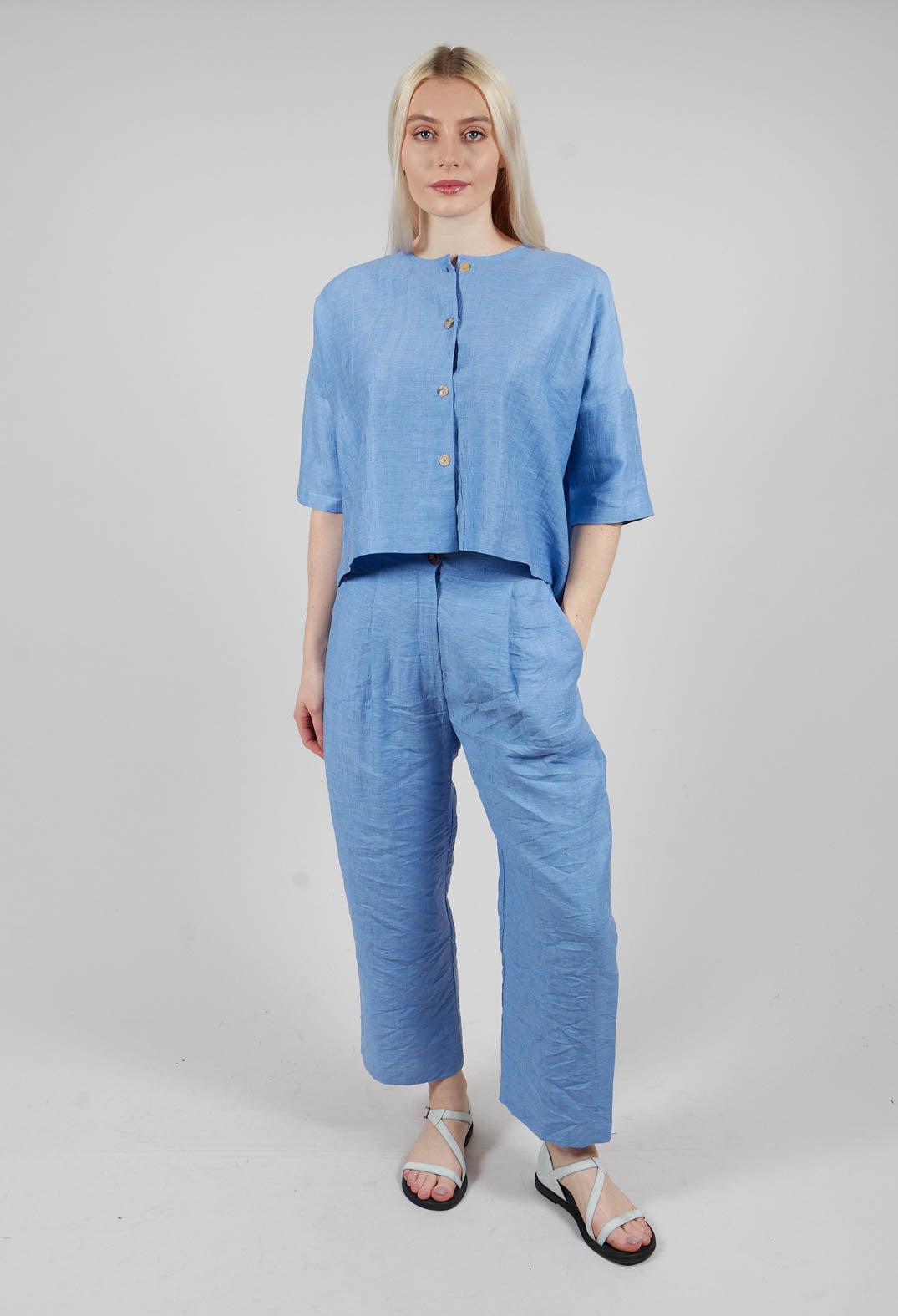 Pleat Front Trousers in Sky