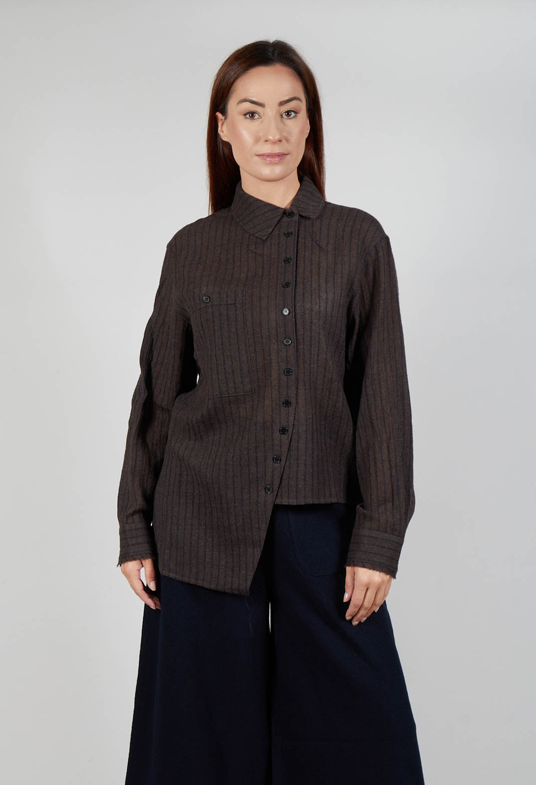 Point Collar Shirt in Brown Stripe