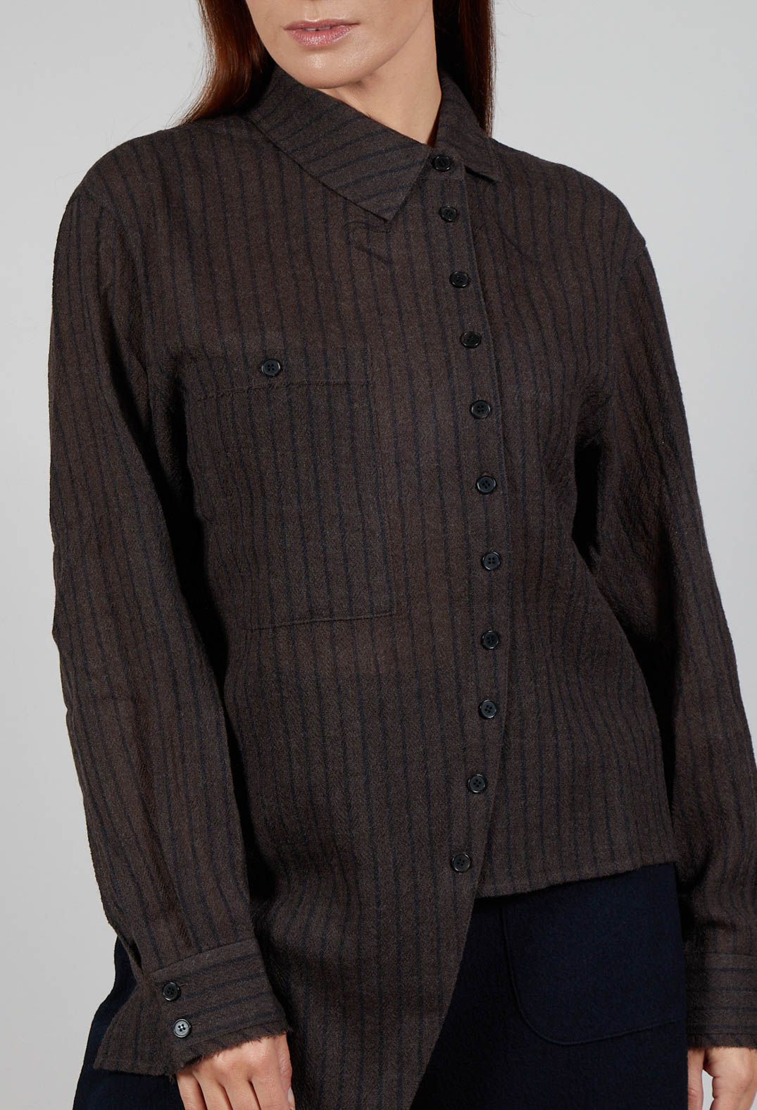 Point Collar Shirt in Brown Stripe