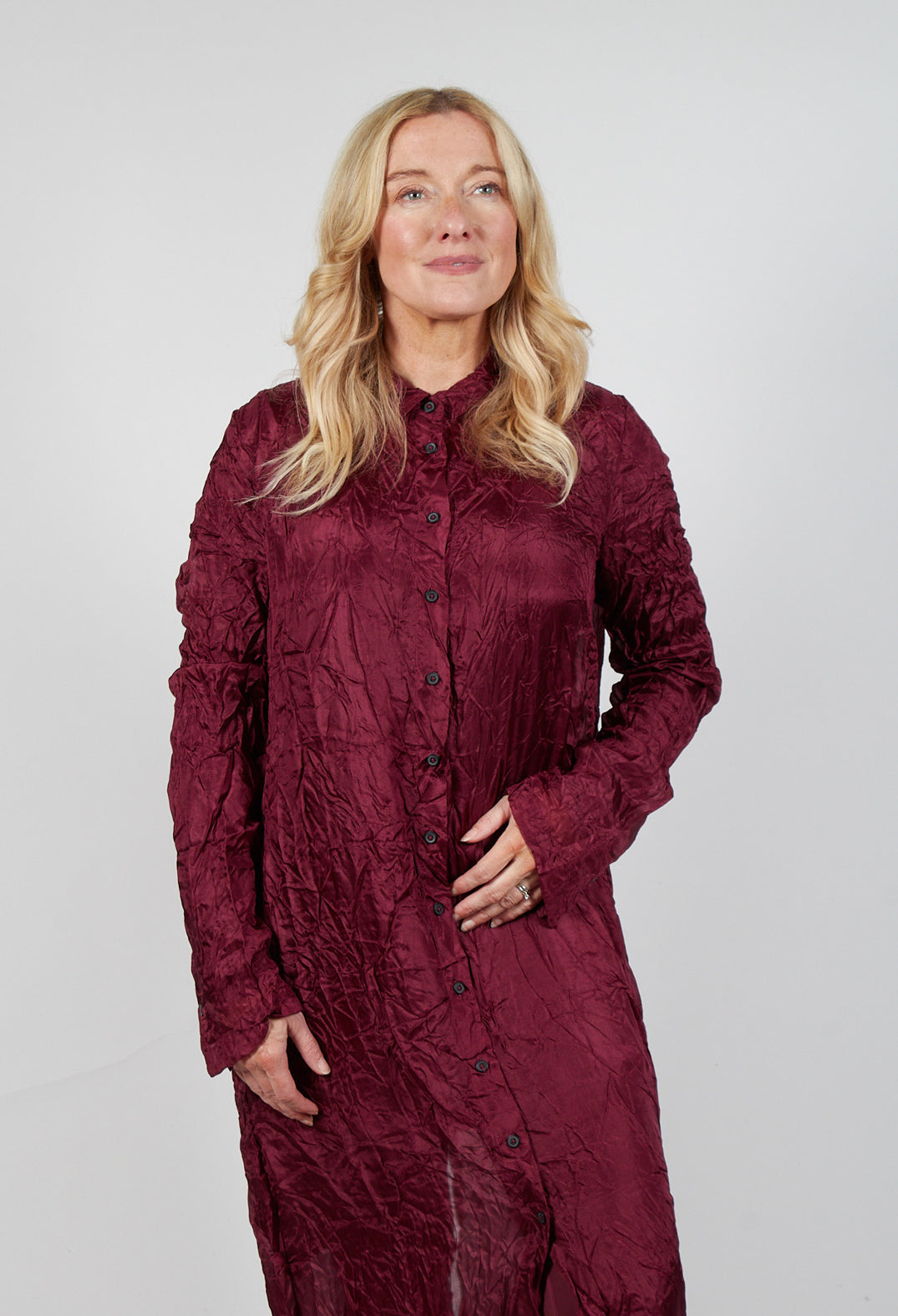 Sheer Shirt Dress in Merlot Cloud