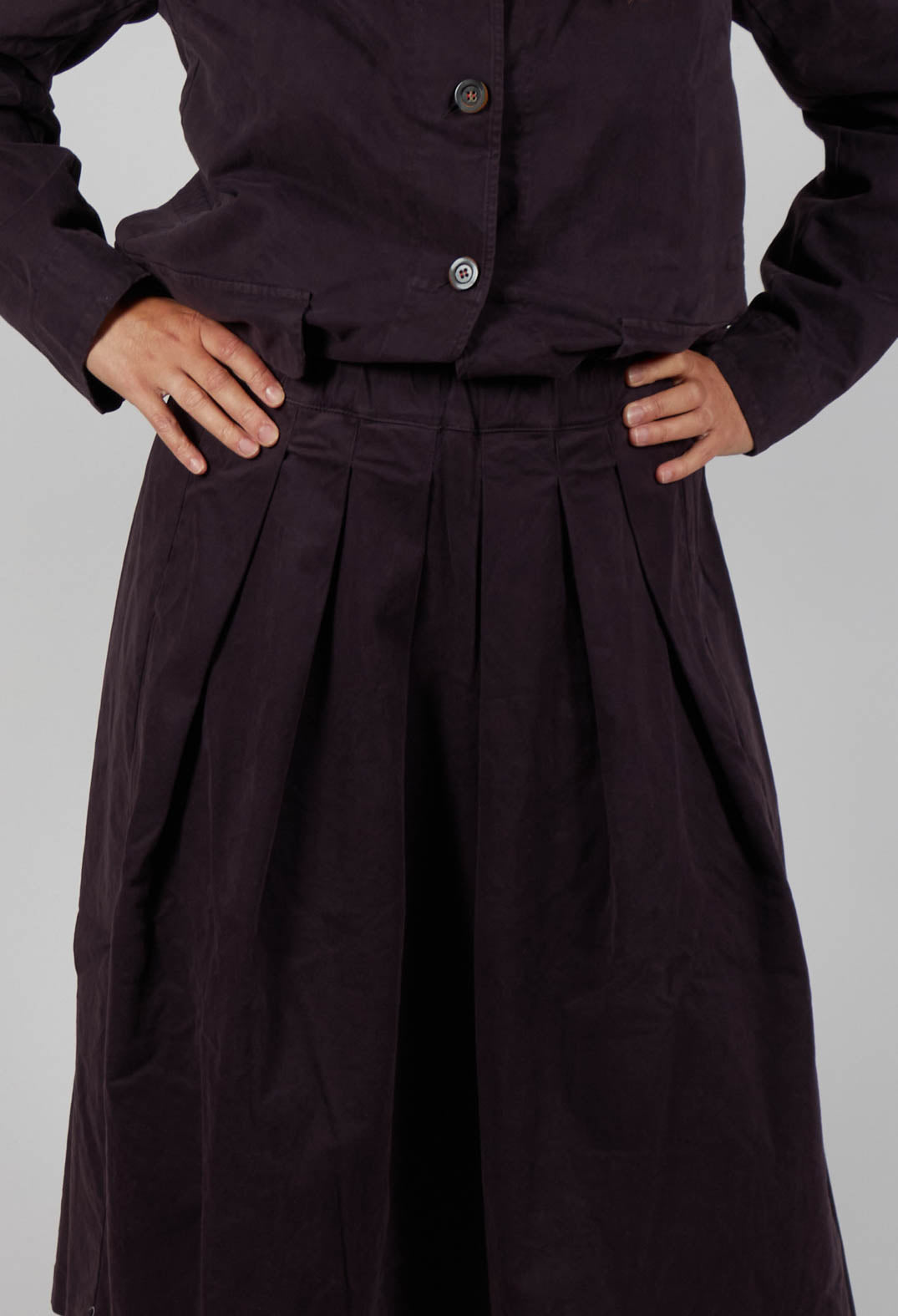 Skirt Jsa in Plum