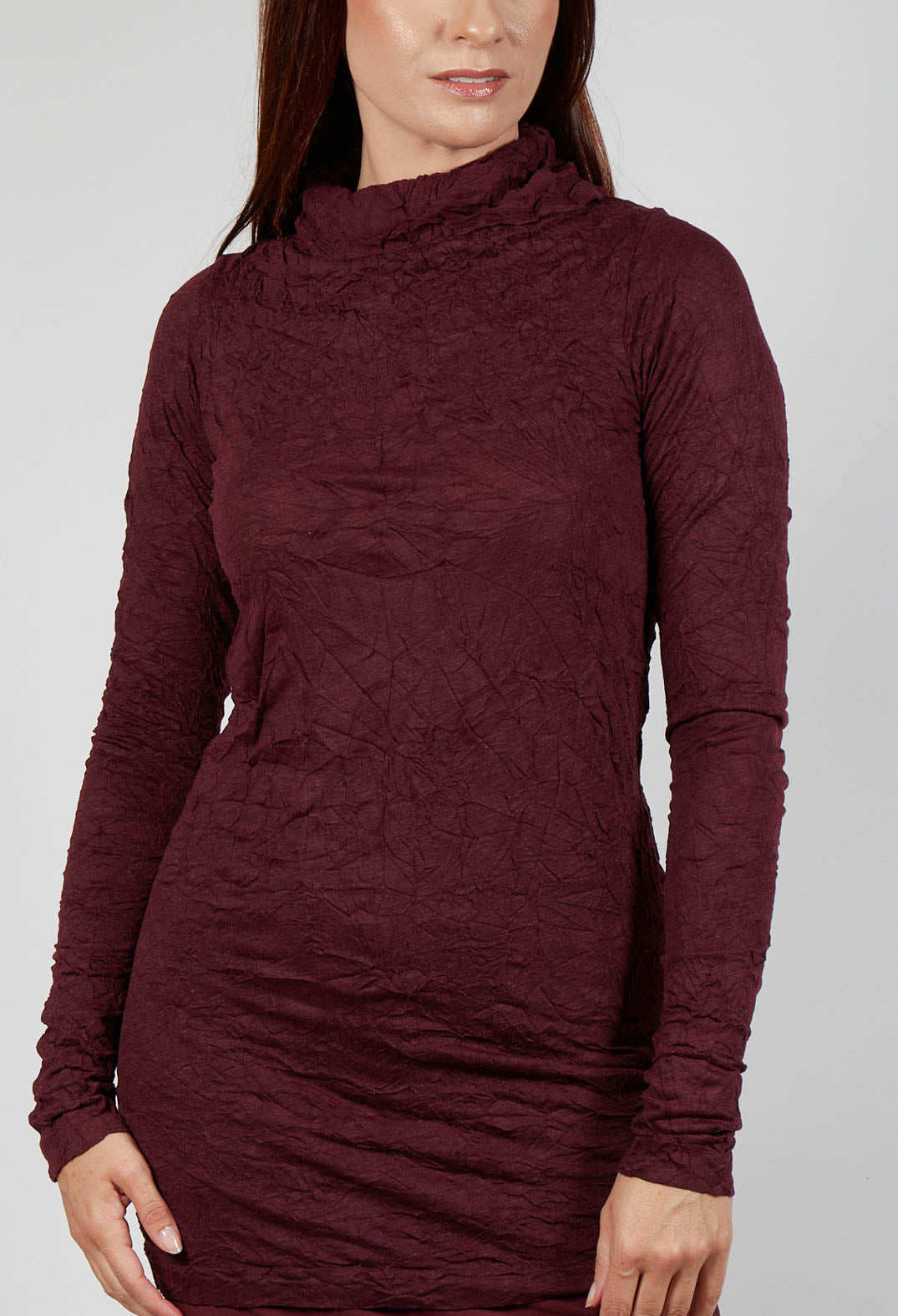 Slim Roll Neck Crinkle Top in Merlot