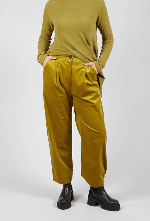 Straight Leg Ribbed Trouser in Cedro