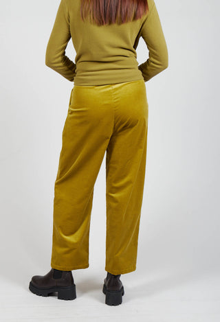 Straight Leg Ribbed Trouser in Cedro