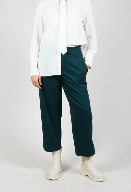 Straight Leg Trousers in Golfo