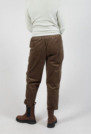 Terra V Trousers in Seme