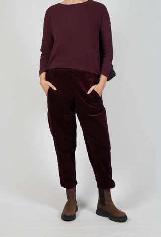 Terra V Trousers in Uva