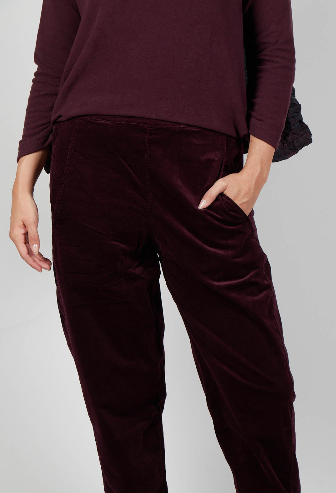 Terra V Trousers in Uva